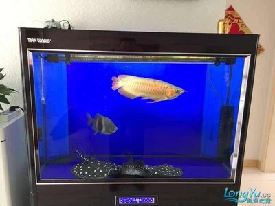 祥龙鱼场水族馆加盟费多少钱一个月（祥龙鱼场水族馆具体加盟费用及每月费用详细信息）