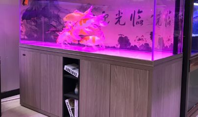 水族馆加盟找祥龙鱼场怎么样（水族馆加盟_水族馆加盟费查询网赚钱超级简单）