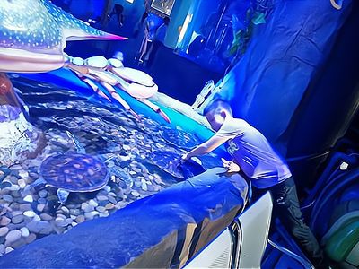 水族馆加盟找祥龙鱼场怎么样（水族馆加盟_水族馆加盟费查询网赚钱超级简单） 龙鱼百科 第4张