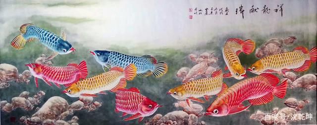 工笔金龙鱼谁画的好（“中国画鲤第一高手”——朱贵成） 龙鱼百科 第3张