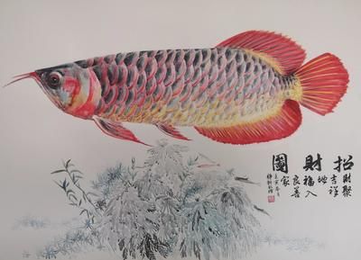 红龙鱼画像（海洋神秘生物—红龙鱼图片大全） 龙鱼百科 第1张