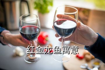 红金龙鱼寓意什么（红金龙鱼的寓意和象征） 龙鱼百科 第2张