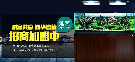 祥龙鱼场d水族馆加盟（“祥龙鱼场”水族馆加盟费用） 龙鱼百科 第1张