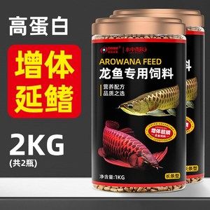 红龙鱼30公分一天喂一次多少饲料（红龙鱼喂食频率和量） 龙鱼百科 第1张