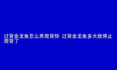 过背金龙鱼多大就停止爬背了（过背金龙鱼停止爬背的大致年龄） 龙鱼百科 第2张