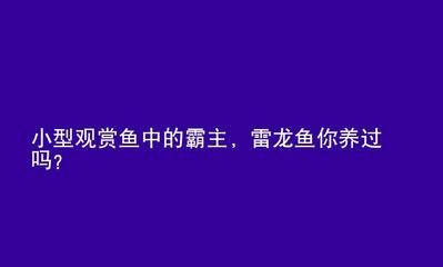 红龙鱼可以养几年（红龙鱼一般寿命多久） 龙鱼百科 第5张