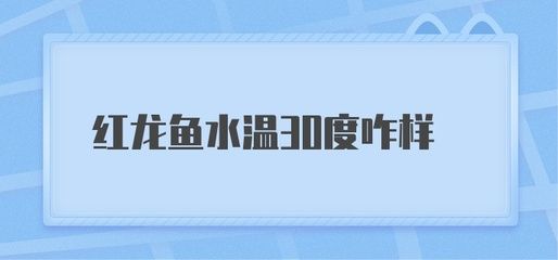 红龙鱼水温30度咋样（红龙鱼水温30度可以吗） 龙鱼百科 第5张