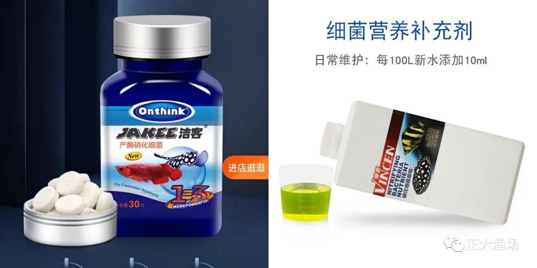 红龙鱼眼睛长白蒙眼怎么办（红龙鱼眼睛有白膜怎么办） 龙鱼百科 第3张