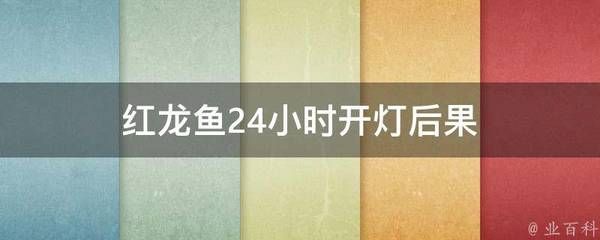 红龙鱼需要24小时开灯吗（红龙鱼24小时开灯后果） 龙鱼百科 第4张