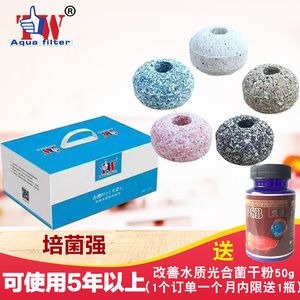 红龙鱼过滤材料怎么选（养龙鱼用什么滤材比较好） 龙鱼百科 第3张