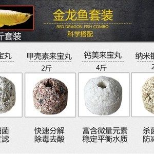 红龙鱼过滤材料怎么选（养龙鱼用什么滤材比较好） 龙鱼百科 第1张