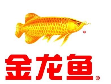 金龙鱼 logo（金龙鱼logo图片素材免费下载金龙鱼logo素材免费下载） 龙鱼百科 第4张