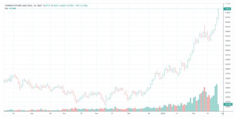 红色金龙鱼价格走势图表最新版（红色金龙鱼价格走势图表） 龙鱼百科 第5张