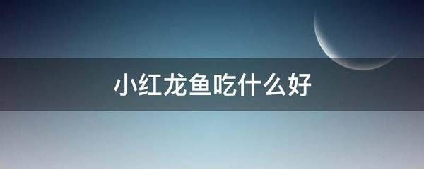 红龙鱼小鱼如何挑选（如何挑选小红龙鱼） 龙鱼百科 第5张