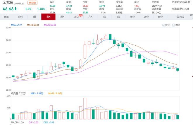 红色金龙鱼价格走势图表（今日最新红色金龙鱼价格行情走势） 龙鱼百科 第7张