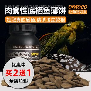 红龙鱼吃饲料怎么办（红龙鱼吃饲料的方法） 龙鱼百科 第3张