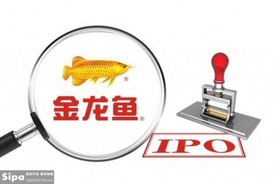 金龙鱼 ipo（卷入油罐车事件的金龙鱼）