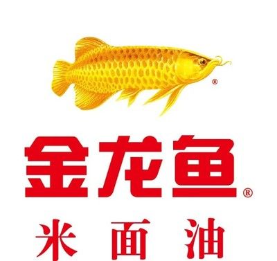 金龙鱼 ipo（卷入油罐车事件的金龙鱼） 龙鱼百科 第7张