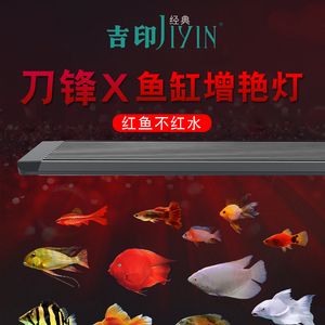 红龙鱼缸灯最佳摆放：红龙鱼灯光的选择和使用方法