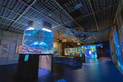 祥龙鱼场水族馆加盟：加盟祥龙鱼场水族馆需要准备多少钱 龙鱼百科 第5张