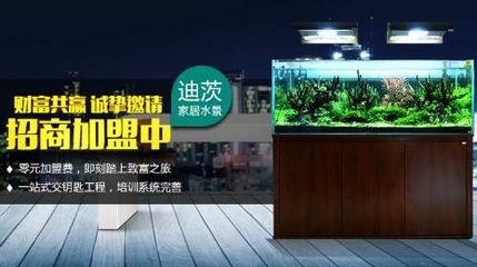 祥龙鱼场水族馆加盟：加盟祥龙鱼场水族馆需要准备多少钱 龙鱼百科 第7张