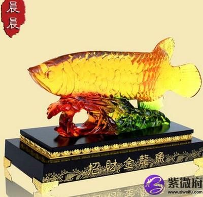 金龙鱼摆在家里有什么讲究吗：养金龙鱼有风水讲究吗 龙鱼百科 第4张