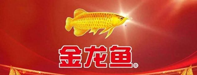 金龙鱼不愿意吃食怎么回事：金龙鱼不吃食怎么办 龙鱼百科 第6张