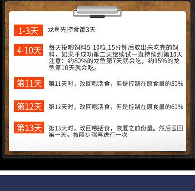 金龙鱼吃鱼饲料吗：金龙鱼吃什么饲料最合适金龙鱼饲养方法360问答 龙鱼百科 第7张