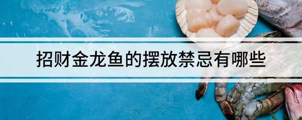 金龙鱼摆件摆放的位置图解：金龙鱼摆件怎么摆放位置 龙鱼百科 第5张