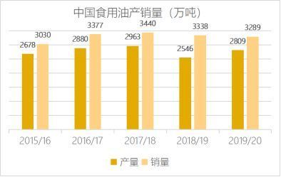 金龙鱼吃肉食还是素食：金龙鱼吃什么好