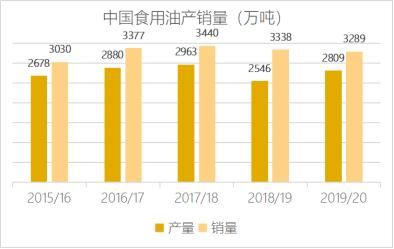 金龙鱼吃肉食还是素食：金龙鱼吃什么好