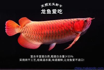 金龙鱼吃多少鱼食合适：金龙鱼一天喂多少小鱼金龙鱼一天喂多少量生活小窍门 龙鱼百科 第2张