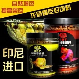 金龙鱼爱吃什么鱼食：关于金龙鱼食物偏好的详细信息 龙鱼百科 第3张