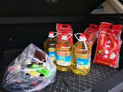 金龙鱼白毛病用什么药：如何治疗金龙鱼的白毛病 龙鱼百科 第5张