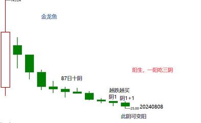 金龙鱼爆鳞怎么回事：金龙鱼爆鳞怎么办 龙鱼百科 第3张