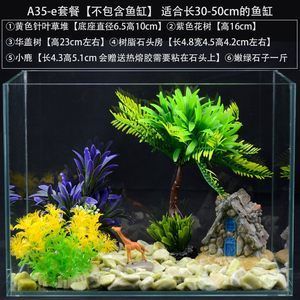 鱼缸装饰水草（深圳鱼悦水族告诉你鱼缸种植水草栽种注意事项） 鱼缸风水 第3张