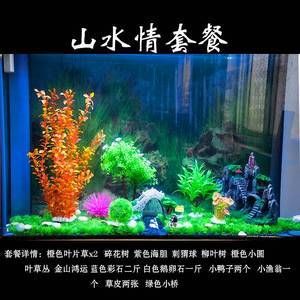 鱼缸装饰水草（深圳鱼悦水族告诉你鱼缸种植水草栽种注意事项） 鱼缸风水 第7张