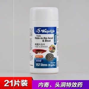 除大白片以外还有什么药可以给龙鱼袪虫（关于龙鱼驱虫的问题） 鱼缸风水 第7张