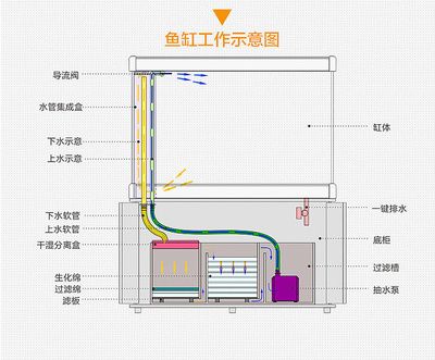 鱼缸上水快下水慢怎么解决图片（鱼缸上水快下水慢怎么办） 鱼缸风水 第4张