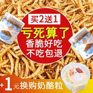 寸金龙鱼饲料可以喂鹦鹉鱼吗（寸金龙鱼饲料可以喂给鹦鹉鱼吗） 鱼缸风水 第6张