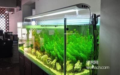 家庭装修鱼缸摆放风水 鱼缸风水 第4张