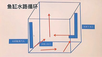 鱼缸上下水口位置（鱼缸上下水口位置对于鱼缸的正常运作和维护非常重要） 鱼缸风水 第6张