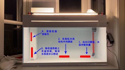 鱼缸上下水口位置（鱼缸上下水口位置对于鱼缸的正常运作和维护非常重要） 鱼缸风水 第7张