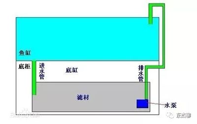 鱼缸上排水好还是下排水好（鱼缸上排水和下排水的区别） 鱼缸风水 第1张