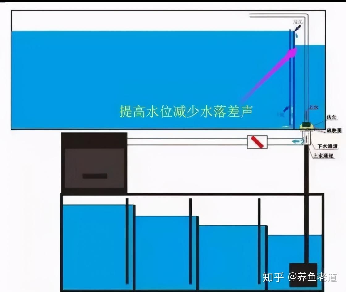 鱼缸上水与下水位置（鱼缸上水与下水位置的设置）