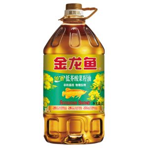 纯金龙鱼（纯金龙鱼是一种非常特别的龙鱼品种） 鱼缸风水 第7张