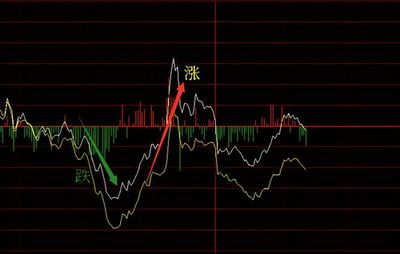 定龙鱼线怎么样（定龙钓线怎么样？） 鱼缸风水 第2张