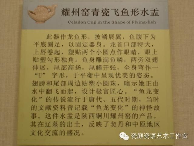 第二代龙鱼和五代龙鱼区别（第二代龙鱼和五代龙鱼有什么区别？） 鱼缸风水 第4张