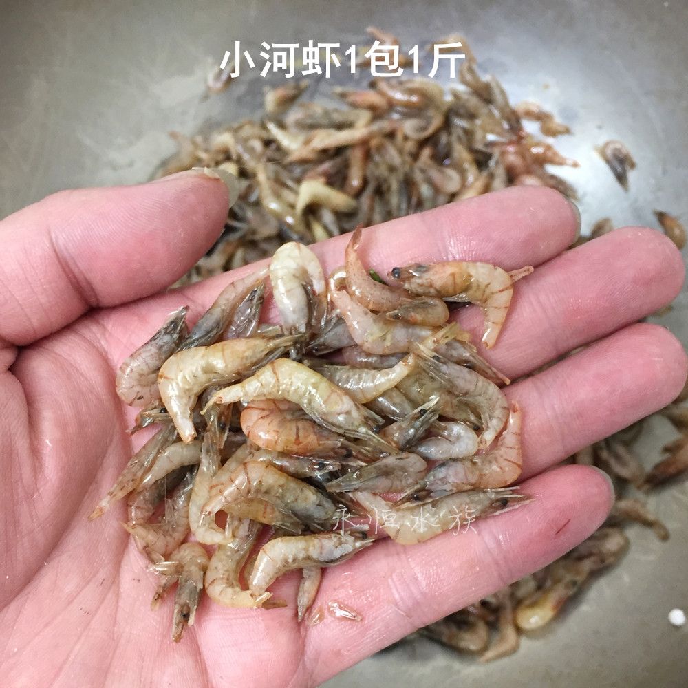 冻虾怎么冻做龙鱼饲料怎么冻（冻的大龙虾怎么做） 鱼缸风水 第5张