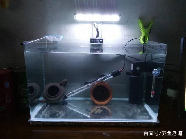 鱼缸摆放在影视墙风水怎么样（鱼缸换水的正确方式） 鱼缸风水 第1张